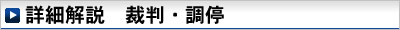 詳細解説　裁判